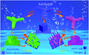 Graphical abstract: Surface in situ self-reconstructing hierarchical structures derived from ferrous carbonate as efficient bifunctional iron-based catalysts for oxygen and hydrogen evolution reactions