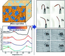 Graphical abstract: Thermoplastic multifunctional polysiloxane-based materials from broad gradient-transition multiphase separation