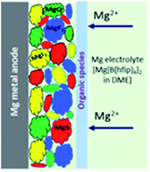 Graphical abstract: Investigation on the formation of Mg metal anode/electrolyte interfaces in Mg/S batteries with electrolyte additives