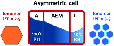 Graphical abstract: Asymmetric electrode ionomer for low relative humidity operation of anion exchange membrane fuel cells