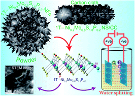 Graphical abstract: Covalent doping of Ni and P on 1T-enriched MoS2 bifunctional 2D-nanostructures with active basal planes and expanded interlayers boosts electrocatalytic water splitting