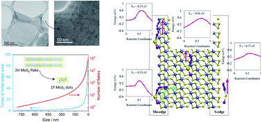 Graphical abstract: Boosting the anchoring and catalytic capability of MoS2 for high-loading lithium sulfur batteries