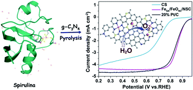 Graphical abstract: Biomass in situ conversion to Fe single atomic sites coupled with Fe2O3 clusters embedded in porous carbons for the oxygen reduction reaction