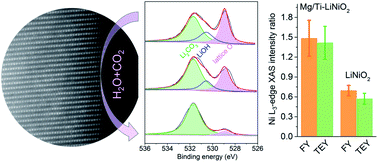 Graphical abstract: The sensitive surface chemistry of Co-free, Ni-rich layered oxides: identifying experimental conditions that influence characterization results