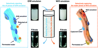 Graphical abstract: Collagen fibers with tuned wetting properties for dual separation of oil-in-water and water-in-oil emulsion