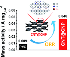 Graphical abstract: Heteroatom-doped carbon interpenetrating networks: a signpost to achieve the best performance of non-PGM catalysts for fuel cells
