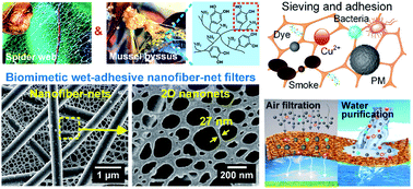 Graphical abstract: High-performance filters from biomimetic wet-adhesive nanoarchitectured networks