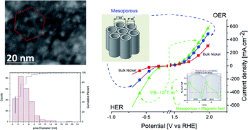 Graphical abstract: Boosting hydrogen and oxygen evolution reactions on electrodeposited nickel electrodes via simultaneous mesoporosity, magnetohydrodynamics and high gradient magnetic force