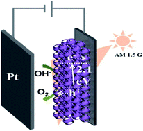 Graphical abstract: Crack-free hematite inverse opal photo-anodes for enhancing photo-electrochemical water splitting