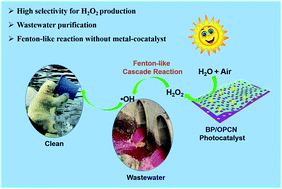 Graphical abstract: Metal-free heterojunction of black phosphorus/oxygen-enriched porous g-C3N4 as an efficient photocatalyst for Fenton-like cascade water purification