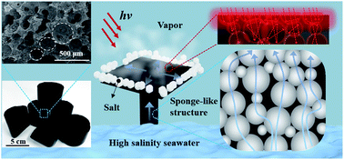 Graphical abstract: Resilient biomass-derived hydrogel with tailored topography for highly efficient and long-term solar evaporation of high-salinity brine