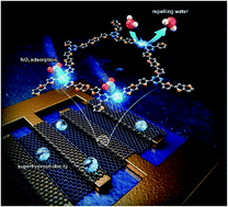 Graphical abstract: Two-dimensional semiconducting covalent organic nanosheets for highly sensitive and stable NO2 sensing under humid conditions