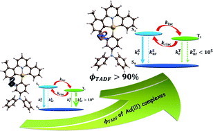 Graphical abstract: A novel molecular descriptor for highly efficient (ϕTADF > 90%) transition metal TADF Au(iii) complexes