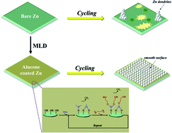 Graphical abstract: Suppressing Zn dendrite growth by molecular layer deposition to enable long-life and deeply rechargeable aqueous Zn anodes