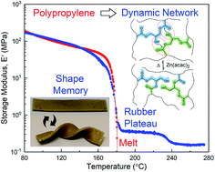 Graphical abstract: Scalable upcycling of thermoplastic polyolefins into vitrimers through transesterification