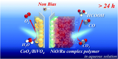 Graphical abstract: Durable photoelectrochemical CO2 reduction with water oxidation using a visible-light driven molecular photocathode