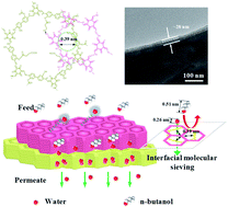 Graphical abstract: Ultrathin heterostructured covalent organic framework membranes with interfacial molecular sieving capacity for fast water-selective permeation
