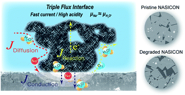 Graphical abstract: Unveiling interfacial dynamics and structural degradation of solid electrolytes in a seawater battery system