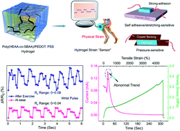 Graphical abstract: Highly stretchable, self-adhesive, biocompatible, conductive hydrogels as fully polymeric strain sensors