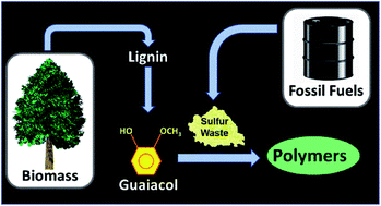 Graphical abstract: Facile route to an organosulfur composite from biomass-derived guaiacol and waste sulfur