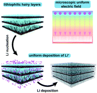 Graphical abstract: Lithium electrodeposited on lithiophilic LTO/Ti3C2 substrate as a dendrite-free lithium metal anode