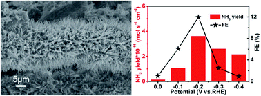 Graphical abstract: Enabling electrochemical conversion of N2 to NH3 under ambient conditions by a CoP3 nanoneedle array