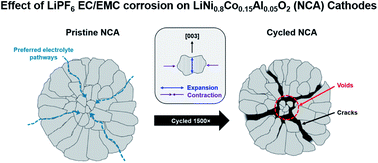 Graphical abstract: Essential effect of the electrolyte on the mechanical and chemical degradation of LiNi0.8Co0.15Al0.05O2 cathodes upon long-term cycling