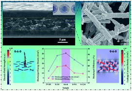 Graphical abstract: Synergistically ultrahigh energy storage density and efficiency in designed sandwich-structured poly(vinylidene fluoride)-based flexible composite films induced by doping Na0.5Bi0.5TiO3 whiskers