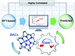 Graphical abstract: Understanding activity origin for the oxygen reduction reaction on bi-atom catalysts by DFT studies and machine-learning