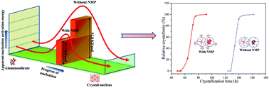 Graphical abstract: N-Methyl-2-pyrrolidone-promoted crystallization of MEL zeolite and its acceleration mechanism