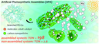 Graphical abstract: Artificial photosynthetic assemblies constructed by the self-assembly of synthetic building blocks for enhanced photocatalytic hydrogen evolution