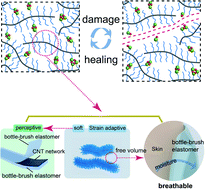 Graphical abstract: A strain-adaptive, self-healing, breathable and perceptive bottle-brush material inspired by skin