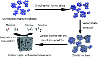 Graphical abstract: Rational construction of hierarchical SAPO-34 with enhanced MTO performance without an additional meso/macropore template