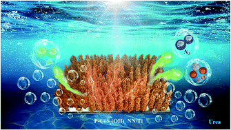 Graphical abstract: Porous and amorphous cobalt hydroxysulfide core–shell nanoneedles on Ti-mesh as a bifunctional electrocatalyst for energy-efficient hydrogen production via urea electrolysis