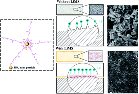 Graphical abstract: An ultra-stable lithium plating process enabled by the nanoscale interphase of a macromolecular additive