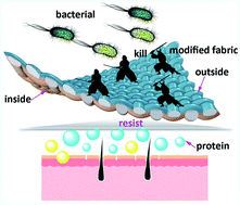 Graphical abstract: A “grafting through” strategy for constructing Janus cotton fabric by mist polymerization