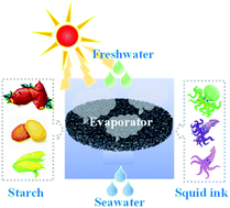 Graphical abstract: Low cost, facile, environmentally friendly all biomass-based squid ink-starch hydrogel for efficient solar-steam generation