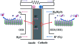 Graphical abstract: Mo2B2 MBene-supported single-atom catalysts as bifunctional HER/OER and OER/ORR electrocatalysts