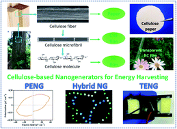 Graphical abstract: Recent advances in cellulose-based piezoelectric and triboelectric nanogenerators for energy harvesting: a review