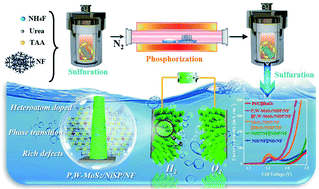 Graphical abstract: The rational doping of P and W in multi-stage catalysts to trigger Pt-like electrocatalytic performance