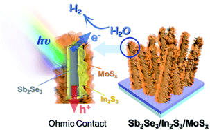 Graphical abstract: A dendritic Sb2Se3/In2S3 heterojunction nanorod array photocathode decorated with a MoSx catalyst for efficient solar hydrogen evolution