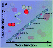 Graphical abstract: Work function regulation of nitrogen-doped carbon nanotubes triggered by metal nanoparticles for efficient electrocatalytic nitrogen fixation