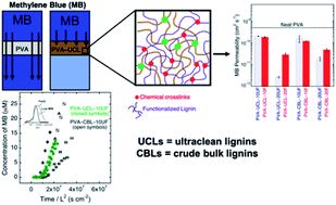 Graphical abstract: Novel composite hydrogels containing fractionated, purified lignins for aqueous-based separations