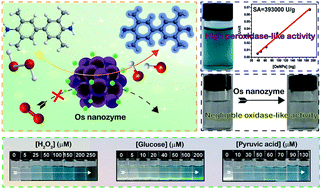 Graphical abstract: Osmium nanozyme as peroxidase mimic with high performance and negligible interference of O2