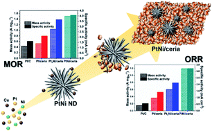 Graphical abstract: One-pot production of ceria nanosheet-supported PtNi alloy nanodendrites with high catalytic performance toward methanol oxidation and oxygen reduction