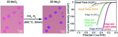 Graphical abstract: The intrinsic hydrogen evolution performance of 2D molybdenum carbide