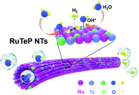 Graphical abstract: Phosphorus-modified ruthenium–tellurium dendritic nanotubes outperform platinum for alkaline hydrogen evolution