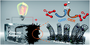 Graphical abstract: Engineering efficient bifunctional electrocatalysts for rechargeable zinc–air batteries by confining Fe–Co–Ni nanoalloys in nitrogen-doped carbon nanotube@nanosheet frameworks