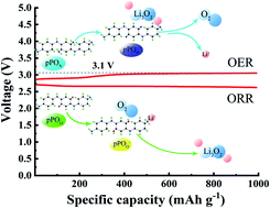 Graphical abstract: A p-phenylenediamine oligomer-mediated Li–O2 battery with an extremely low charge potential of 3.1 V