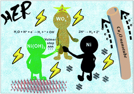 Graphical abstract: Tungstate-modulated Ni/Ni(OH)2 interface for efficient hydrogen evolution reaction in neutral media